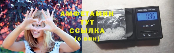 твердый Арсеньев