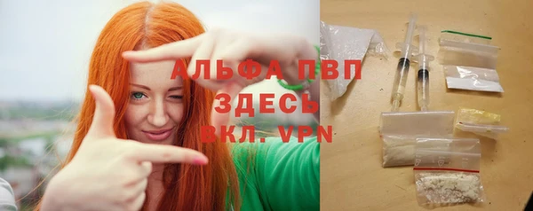 твердый Арсеньев