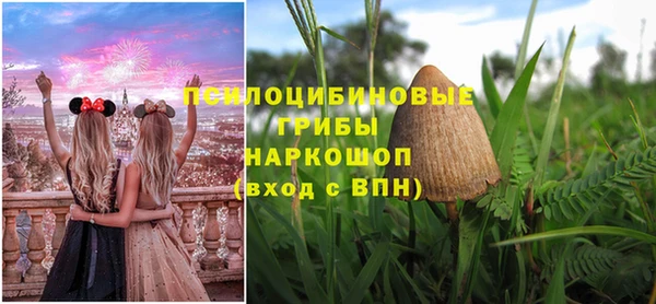 винт Аркадак