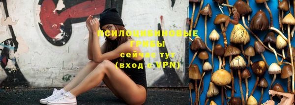 твердый Арсеньев