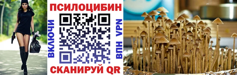 купить   Богданович  Галлюциногенные грибы MAGIC MUSHROOMS 